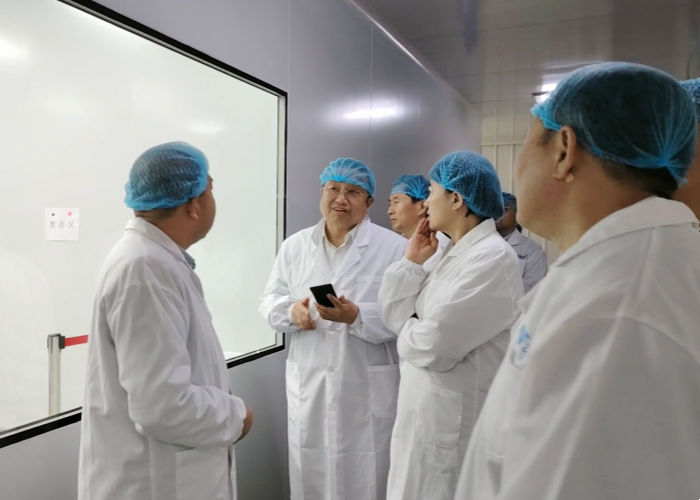 長春市政協及九臺區各級領導到訪萊沃醫療進行調研